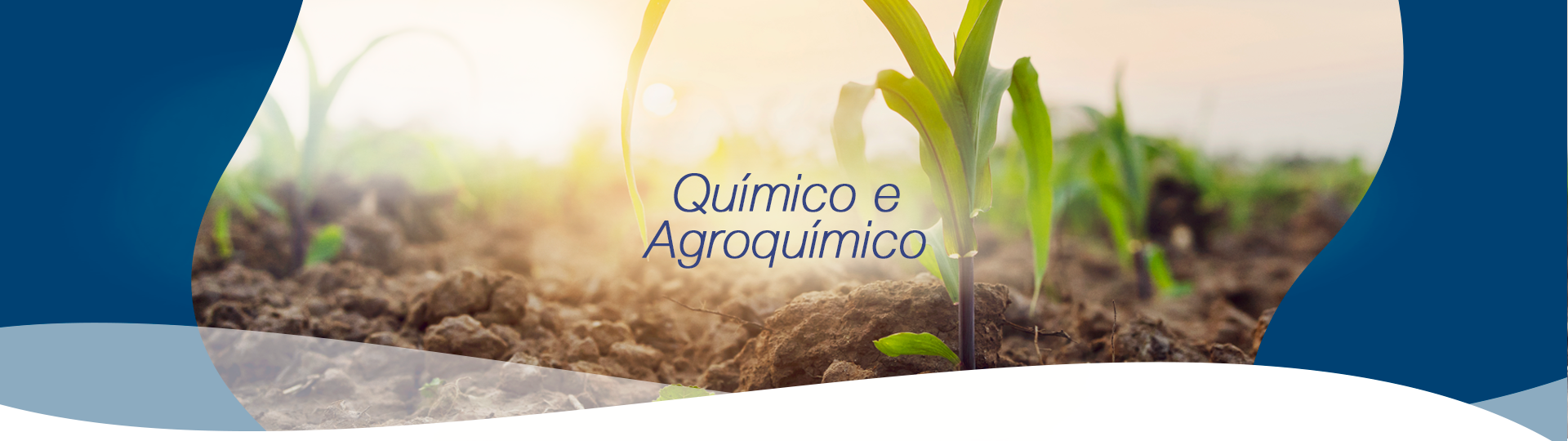  SEGMENTO_QUIMICO_COM_TEXTO 